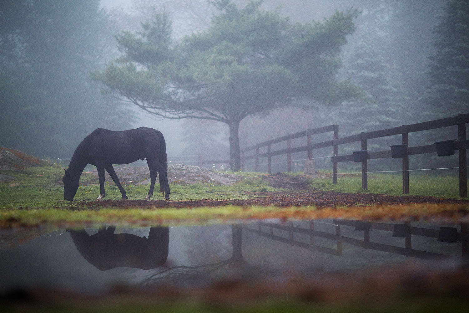 Where the Ancient Earth Heals: Grail Springs, Bancroft