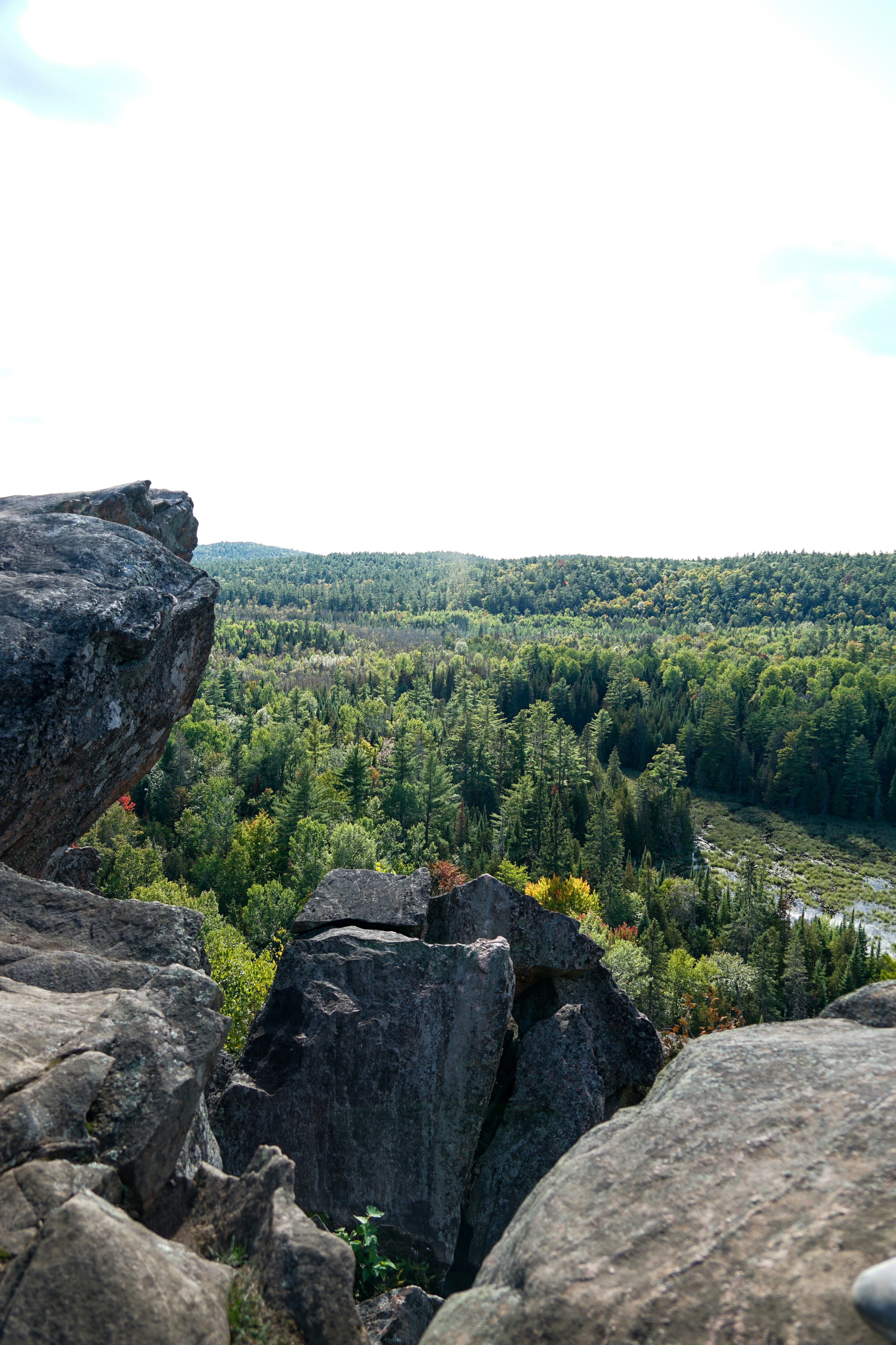 Calabogie